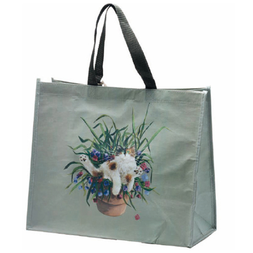 Kim Haskins plant pot cat recycled shopping bag
