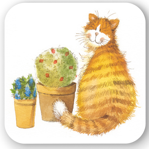 Coaster - ginger cat and pots