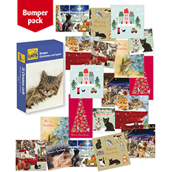CP Bumper Christmas Card Pack